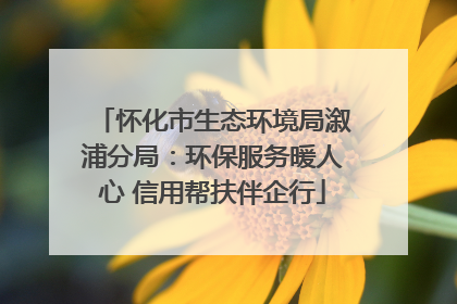 怀化市生态环境局溆浦分局：环保服务暖人心 信用帮扶伴企行