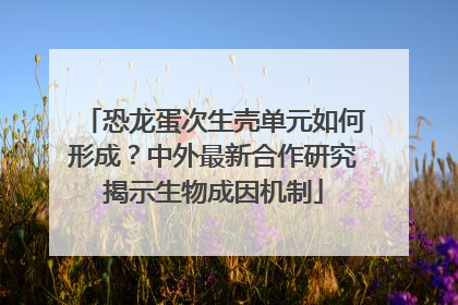 恐龙蛋次生壳单元如何形成？中外最新合作研究揭示生物成因机制