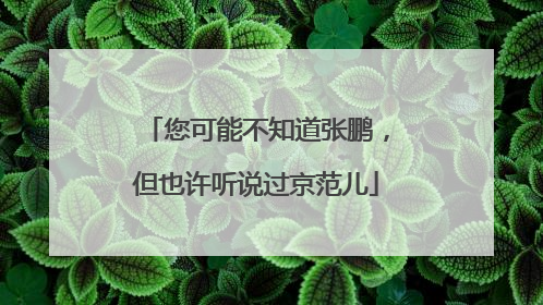 您可能不知道张鹏，但也许听说过京范儿