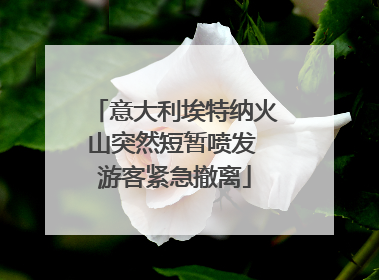 意大利埃特纳火山突然短暂喷发 游客紧急撤离