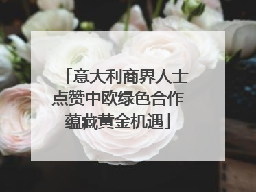 意大利商界人士点赞中欧绿色合作蕴藏黄金机遇