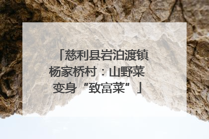 慈利县岩泊渡镇杨家桥村：山野菜变身“致富菜”