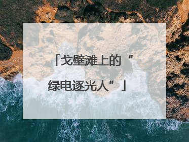 戈壁滩上的“绿电逐光人”
