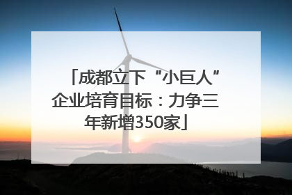 成都立下“小巨人”企业培育目标：力争三年新增350家