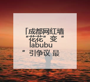 成都网红墙“花花”变“labubu”引争议 最新：涂鸦已被抹掉
