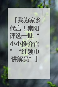 我为家乡代言！崇阳评选一批“小小推介官”“红领巾讲解员”