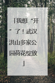 我想“开”了！武汉洪山多家公园荷花绽放