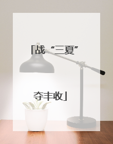战“三夏” 夺丰收