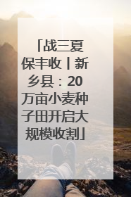 战三夏 保丰收丨新乡县：20万亩小麦种子田开启大规模收割