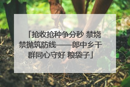 抢收抢种争分秒 禁烧禁抛筑防线——郎中乡干群同心守好 粮袋子