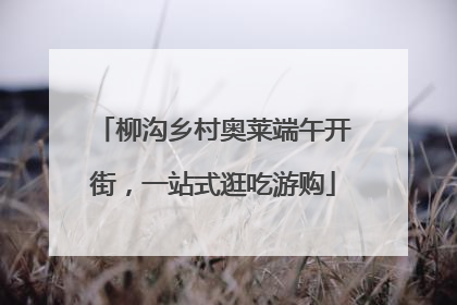柳沟乡村奥莱端午开街，一站式逛吃游购