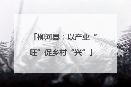 柳河县：以产业“旺”促乡村“兴”