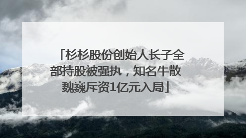 杉杉股份创始人长子全部持股被强执，知名牛散魏巍斥资1亿元入局