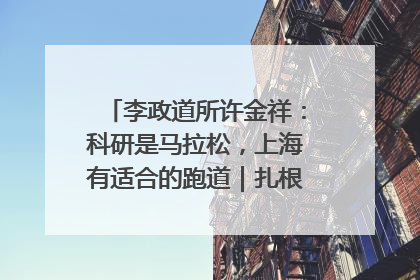李政道所许金祥：科研是马拉松，上海有适合的跑道｜扎根上海，从0到1