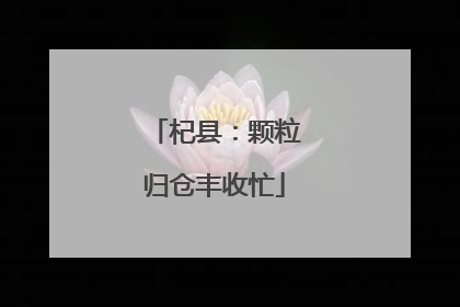 杞县：颗粒归仓丰收忙