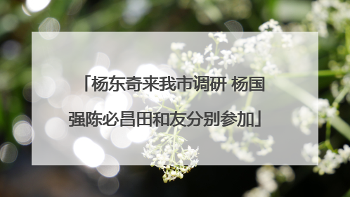 杨东奇来我市调研 杨国强陈必昌田和友分别参加