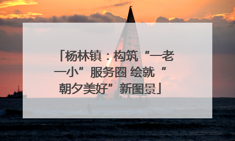 杨林镇：构筑“一老一小”服务圈 绘就“朝夕美好”新图景