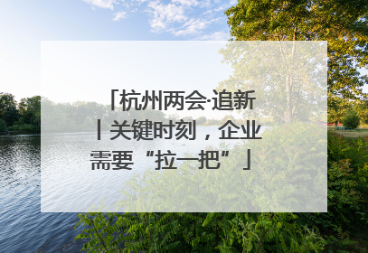 杭州两会·追新丨关键时刻，企业需要“拉一把”
