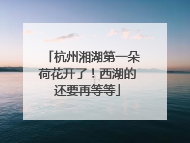 杭州湘湖第一朵荷花开了！西湖的还要再等等