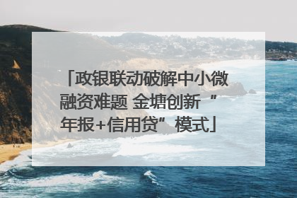 政银联动破解中小微融资难题 金塘创新“年报+信用贷”模式