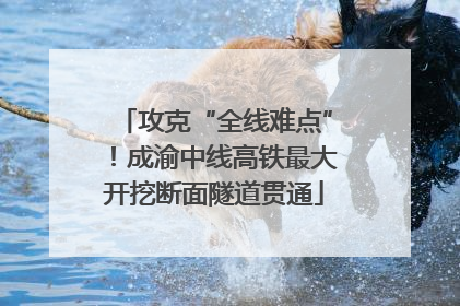 攻克“全线难点”！成渝中线高铁最大开挖断面隧道贯通