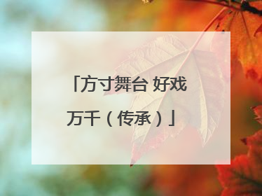 方寸舞台 好戏万千（传承）