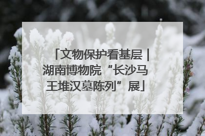 文物保护看基层｜湖南博物院“长沙马王堆汉墓陈列”展