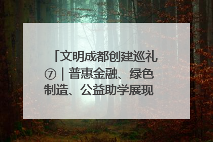文明成都创建巡礼⑦｜普惠金融、绿色制造、公益助学展现城市文明底色