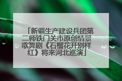 新疆生产建设兵团第二师铁门关市原创情景歌舞剧《石榴花开别样红》将来河北巡演