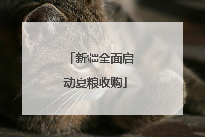 新疆全面启动夏粮收购