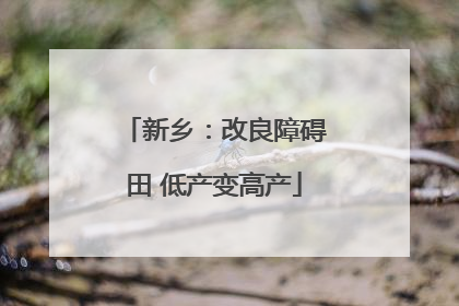 新乡：改良障碍田 低产变高产
