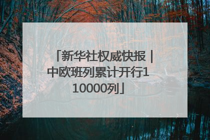 新华社权威快报｜中欧班列累计开行110000列