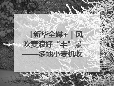 新华全媒+｜风吹麦浪好“丰”景——多地小麦机收一线见闻