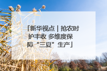 新华视点｜抢农时 护丰收 多维度保障“三夏”生产