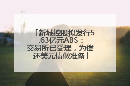 新城控股拟发行5.63亿元ABS：交易所已受理，为偿还美元债做准备