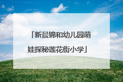 新晨锦和幼儿园萌娃探秘莲花街小学