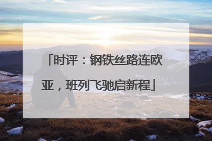 时评：钢铁丝路连欧亚，班列飞驰启新程