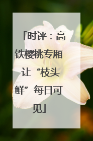 时评：高铁樱桃专厢 让“枝头鲜”每日可见