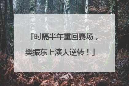 时隔半年重回赛场，樊振东上演大逆转！