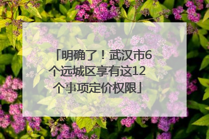 明确了！武汉市6个远城区享有这12个事项定价权限