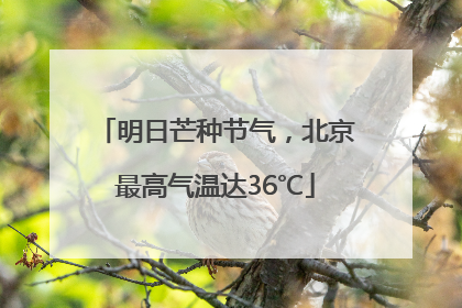 明日芒种节气，北京最高气温达36℃