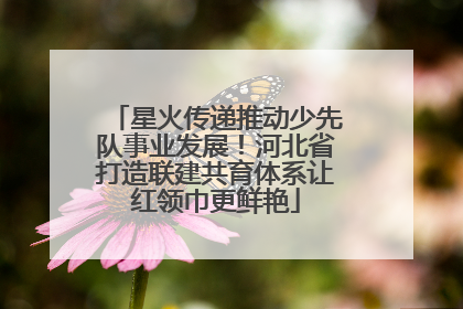 星火传递推动少先队事业发展！河北省打造联建共育体系让红领巾更鲜艳
