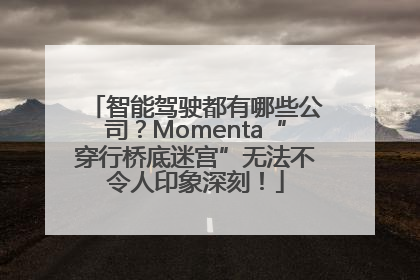 智能驾驶都有哪些公司？Momenta“穿行桥底迷宫”无法不令人印象深刻！