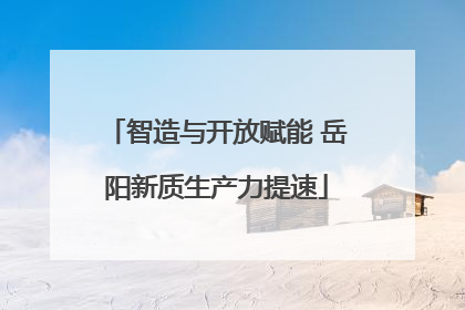 智造与开放赋能 岳阳新质生产力提速