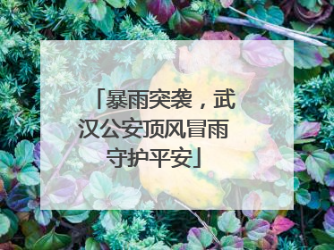 暴雨突袭，武汉公安顶风冒雨守护平安