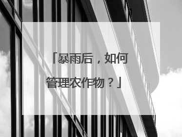 暴雨后，如何管理农作物？