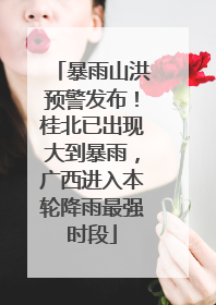 暴雨山洪预警发布！桂北已出现大到暴雨，广西进入本轮降雨最强时段