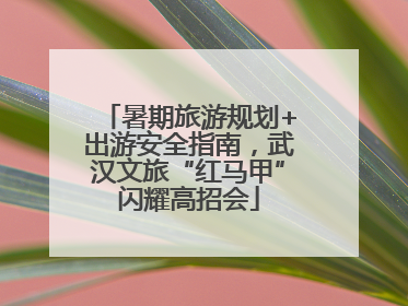 暑期旅游规划+出游安全指南，武汉文旅“红马甲”闪耀高招会