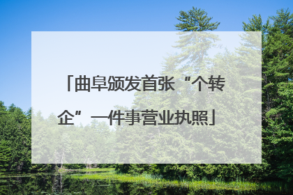 曲阜颁发首张“个转企”一件事营业执照