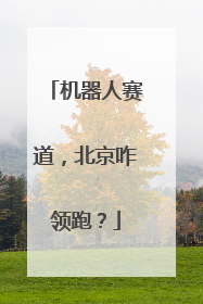 机器人赛道，北京咋领跑？